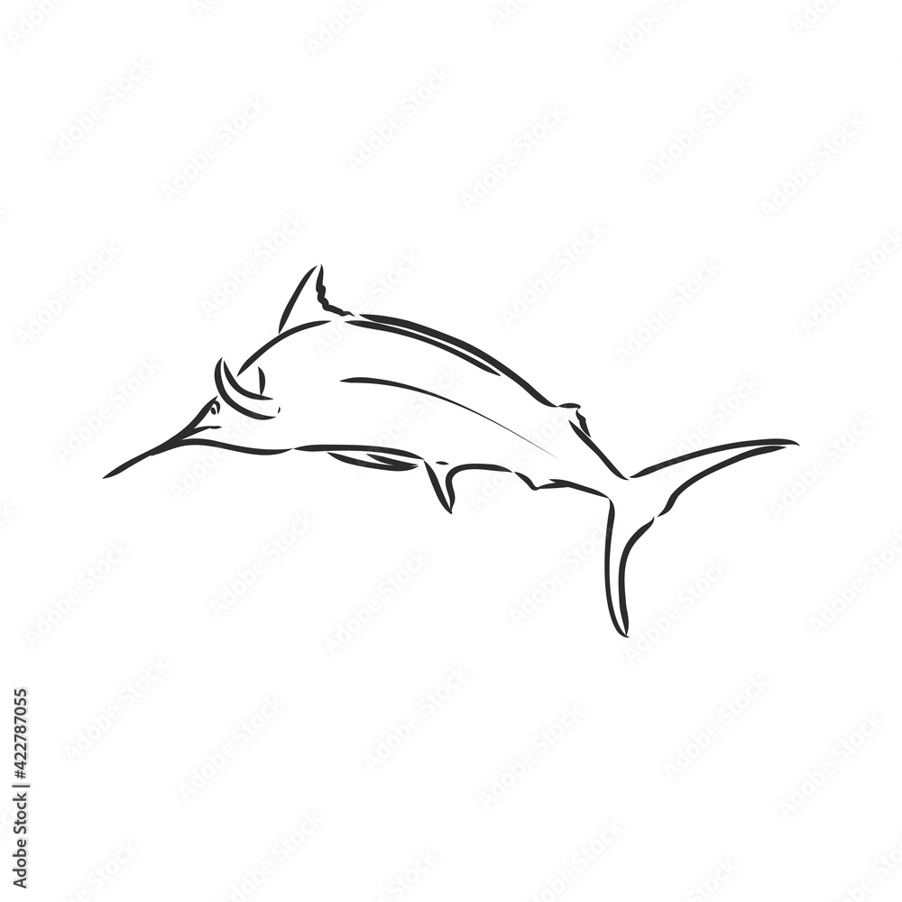 Hand Drawn Marlin fish jump marlin, vector sketch on a white background Hand Drawn Marlin fish jump marlin, vector sketch on a white background