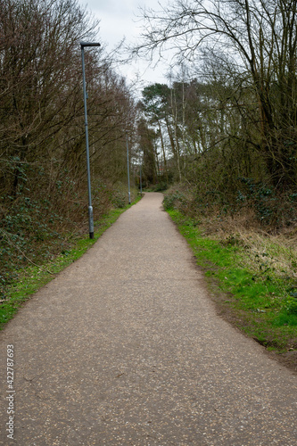 A trail leading through a middle of a forest in Norfolk england with street lighting
