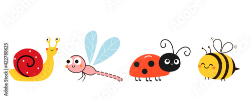 Valokuva Snail, dragonfly, ladybug and bee on a white background vector illustration