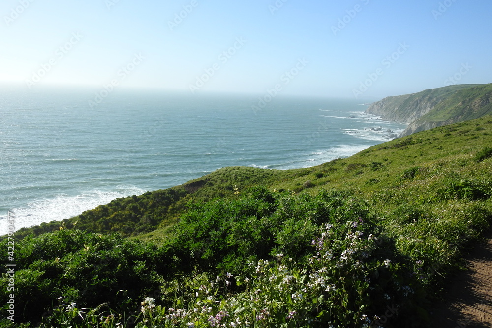The beautiful scenery of the Point Reyes National Seashore in Marin County, Northern California.