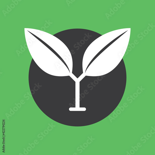 Plant and leaves icon. Leaf symbol of ecology, enviroment and nature. Vegetarian and vegan pictogram design.