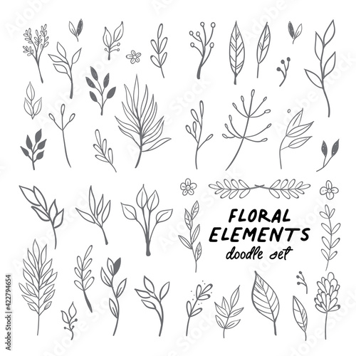 Floral doodle design elements. Hand drawn decorative leaves and wreaths. Flower ornament dividers. Tree branches with leaf and flowers.