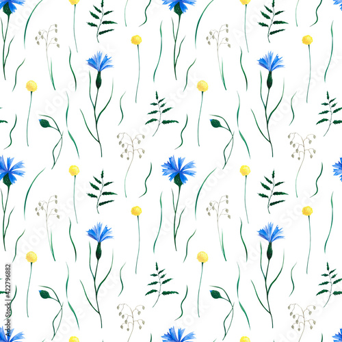 Wild flowers. Watercolor hand-drawn floral seamless pattern