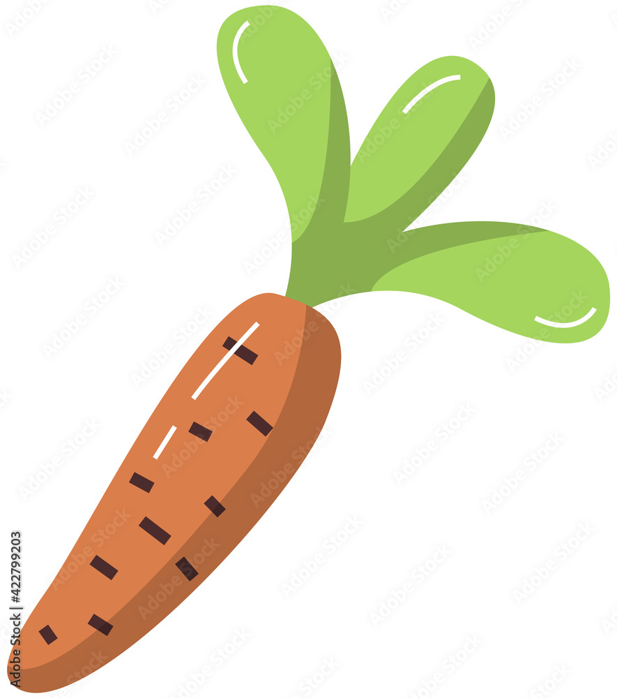 Orange ripe carrot on white. Healthy root-crop for people and animals. Delicious raw vegetable Orange ripe carrot on white. Healthy root-crop for people and animals. Delicious raw vegetable