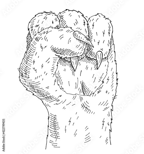 Cat paw with a clenched fist. Vintage monochrome hatching illustration isolated on white