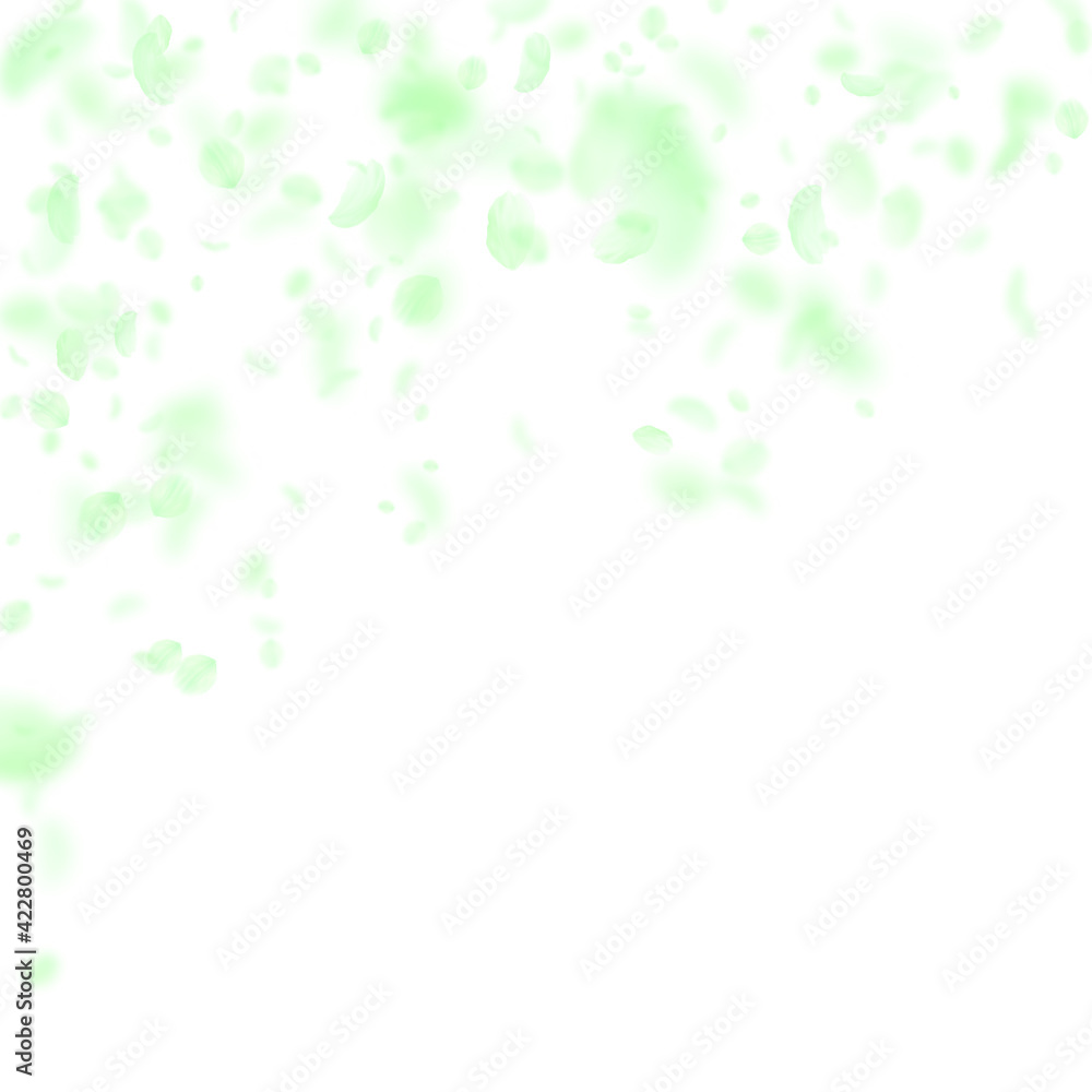 Green flower petals falling down. Elegant romantic Green flower petals falling down. Elegant romantic