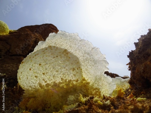 Paysages volcaniques de Dallol dans le désert de Danakil en Éthiopie. photo