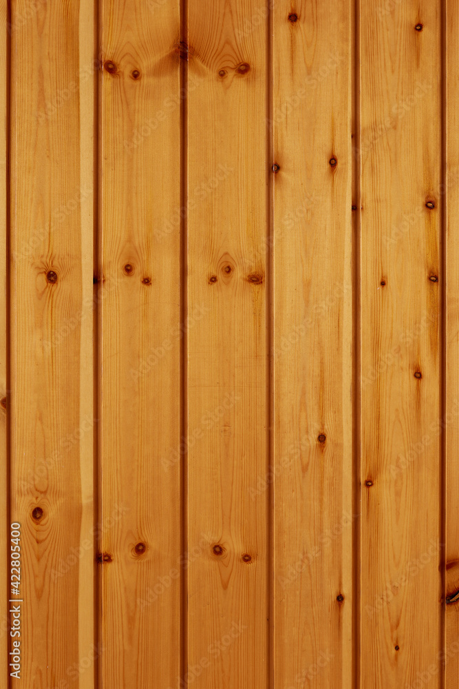 Fototapeta premium Wooden planks background