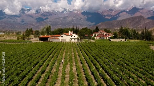 Aerial - vineyard in Mendoza, Argentina, wide rising shot backward with parallax