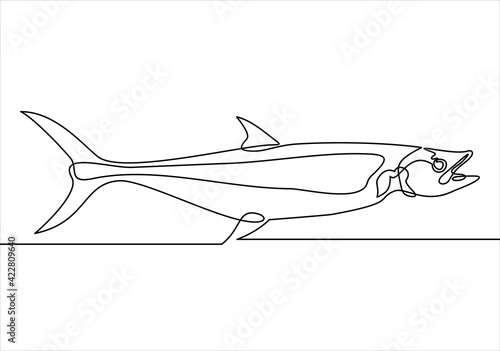 Continuous one line drawing fish. vector illustration. Black and white.