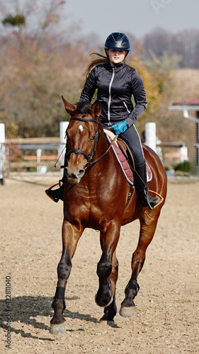 Young horsewoman riding on brown horse in paddok outdoors, copy space. Equestrian sport.