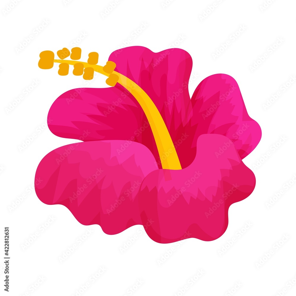 Hibiscus head flower in cartoon style isolated on white background. Hawaiian, tropical, exotic decoration, single object, design element. Stock Vector | Adobe Stock Hibiscus head flower in cartoon style isolated on white background. Hawaiian, tropical, exotic decoration, single object, design element. Stock Vector | Adobe Stock