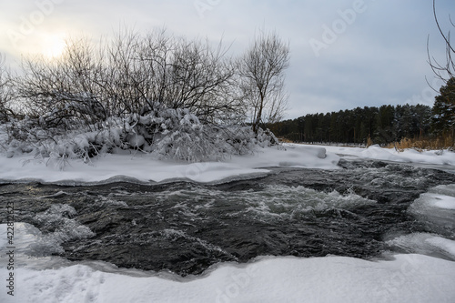 Winter landscape with an unfrozen stormy river and icy shining banks, birches and white clean snow. cold ringing day. In the distance there is a pine forest. Clean air and silence. Ural (Russia)  © olgaS