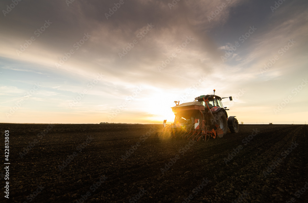 Fototapeta premium Farmer with tractor seeding