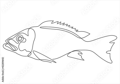 Continuous one line drawing fish. vector illustration. Black and white.