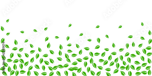 Falling green leaves. Fresh tea random leaves flyi