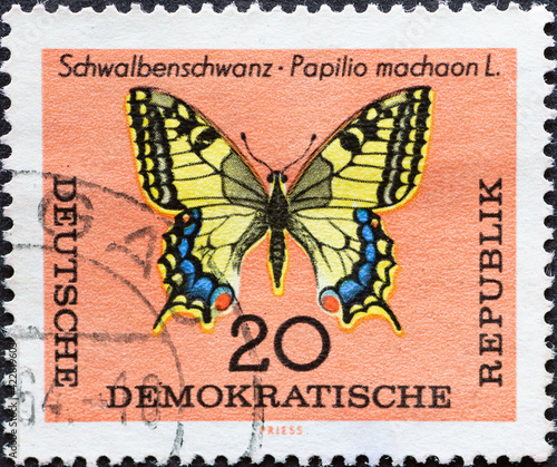 GERMANY, DDR - CIRCA 1964  : a postage stamp from Germany, GDR showing a domestic swallowtail butterfly (Papilio machaon) in top view