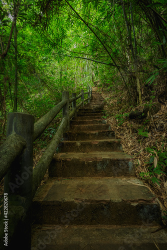 staircase on a hike in the mountains in Udonthani  Thailand.