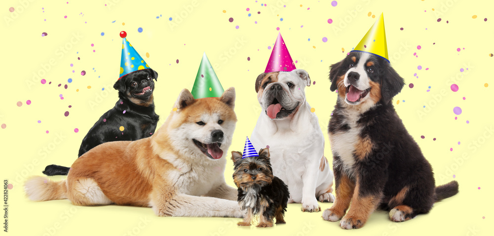 Adorable dogs with party hats on yellow background. Banner design
