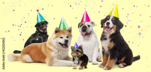 Canvas Print Adorable dogs with party hats on yellow background. Banner design