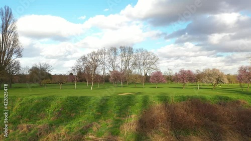 CINEMATIC SHOT OF A BEAUTIFUL PARK WITH COURFUL TREES IN SUMMER SUNNY DAY photo