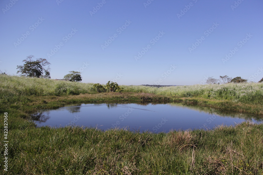 landscape with trees and water landscape with trees and water