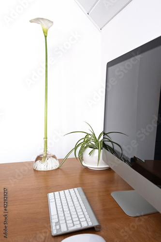 Workplace in a minimalistic style. Monitor, keyboard and mouse on a wooden table next to a home flower and calla lilies. Copy space. .