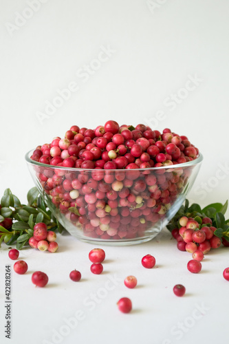 Ripe  juicy  sweet lingonberries in a plate on a white background. Vaccinium vitis-idaea