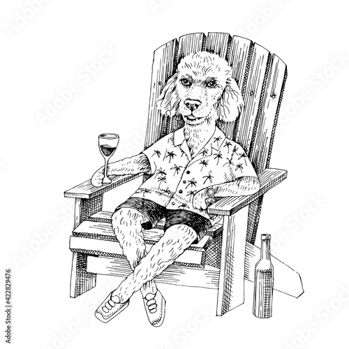 Poodle sketch on adirondack chair photo