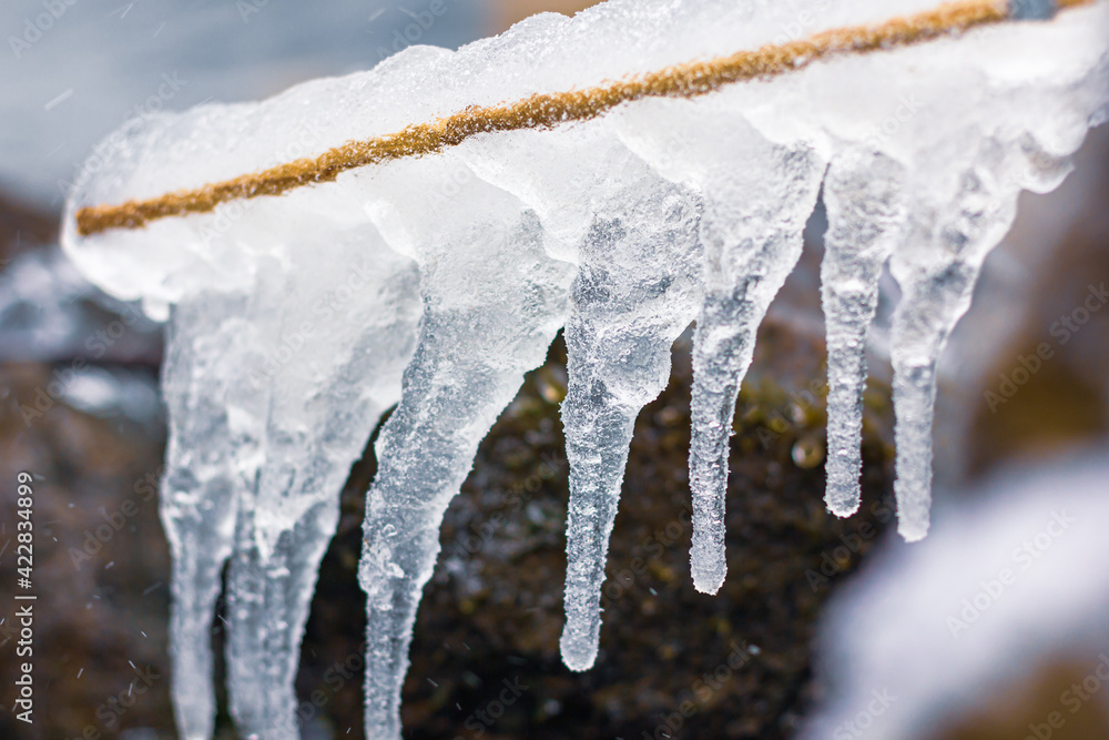 icicles on a branch icicles on a branch
