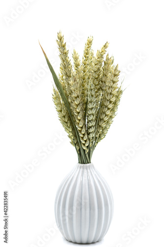 A vase with dry ears of wheat. Isolated image.