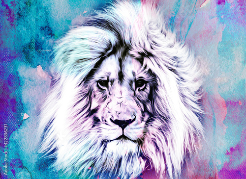 lion head in the sky