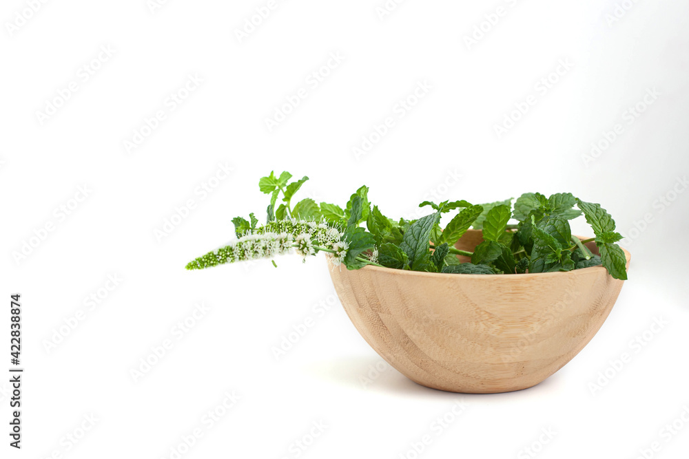 Fresh mint in a wooden bowl on a white background Fresh mint in a wooden bowl on a white background