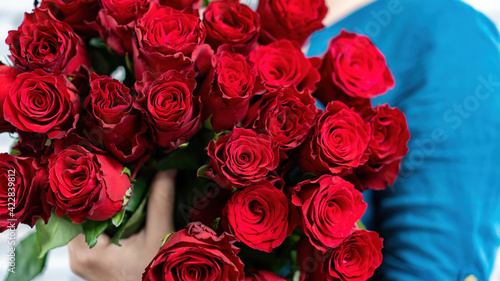 Luxurious bouquet of red roses close up. The girl is holding a large bouquet of flowers in her hands. Harmonious combination of blue and red colors. Gift on a date for Valentine's Day. Flower delivery