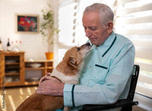 Photography Cute dog in senior man lap