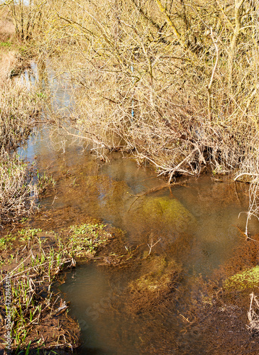 Fototapeta Naklejka Na Ścianę i Meble -  Brown stagnant water example