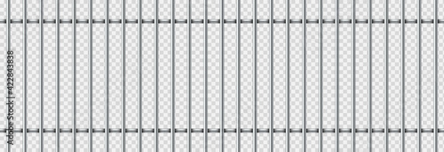 Realistic prison metal bars isolated on transparent background. Iron jail cage. Prison fence jail. Template design for criminal or sentence. Vector illustration