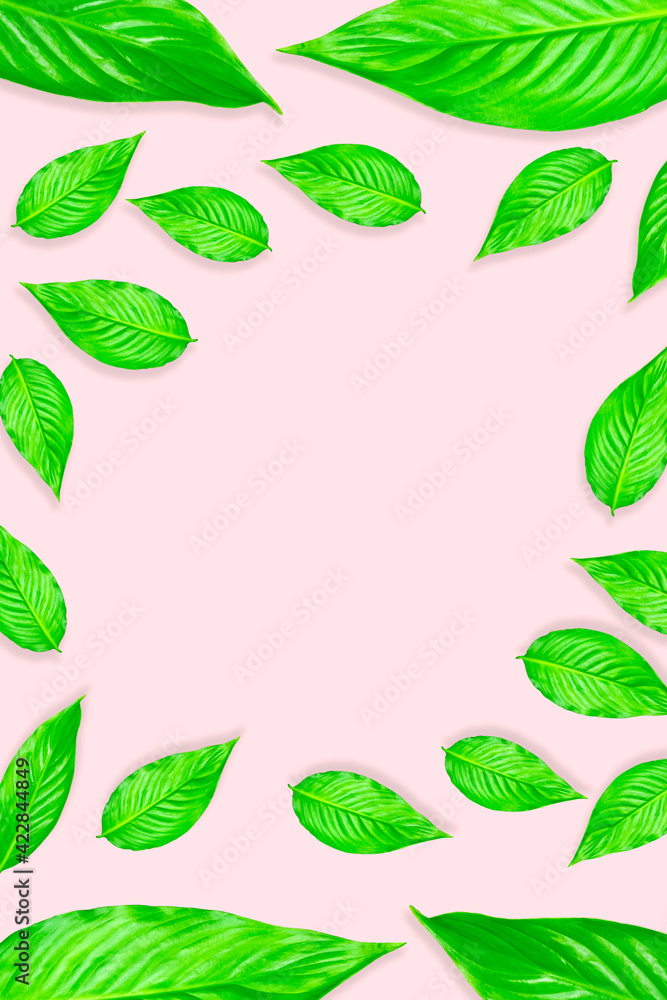 Creative layout from green leaves on a bright background. Сopy spaсe Creative layout from green leaves on a bright background. Сopy spaсe