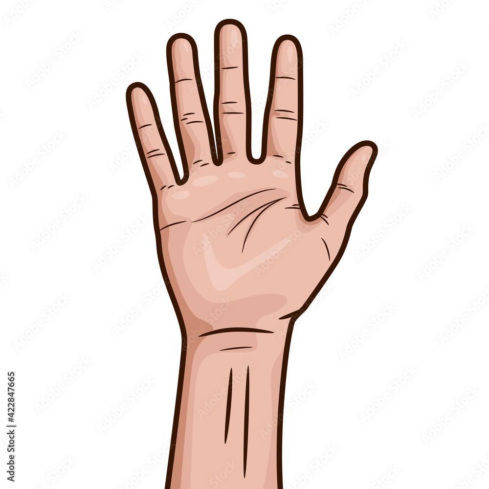 Human hand raised upwards with open fingers isolated on white background Human hand raised upwards with open fingers isolated on white background