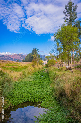 Paisaje cajamarquino