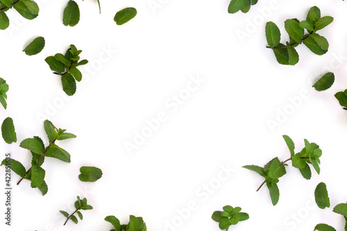 Fresh green leaves mint ( Mentha ) on a white background with space for text. Top view, flat lay
