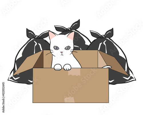 捨て猫　ゴミ捨て場　白猫