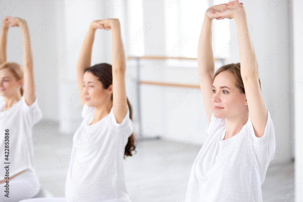 Fototapeta premium gorgeous pregnant women doing exercises to prepare for childbirth, training muscles