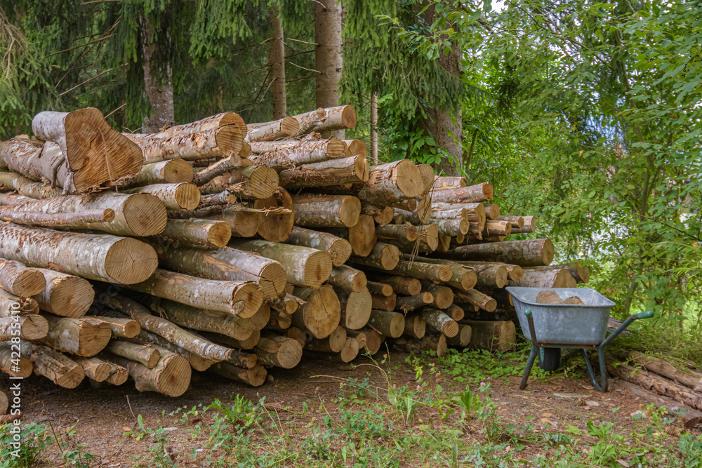 stacked tree trunks with wheelbarrow in front stacked tree trunks with wheelbarrow in front