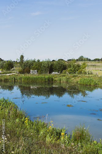 walking path, pond and blue sky in early summer