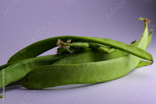 Flatgreen beans isolated in the light background photo