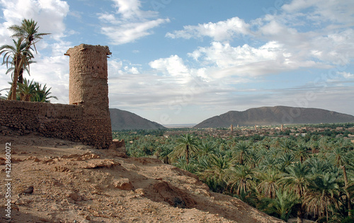 Palm grove of Figuig in Morocco photo