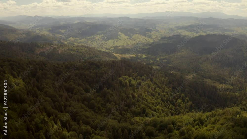 Carpathian mountains covered with green forest and glades Carpathian mountains covered with green forest and glades