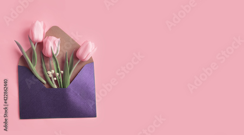 envelope, flower tulip on a colored background photo