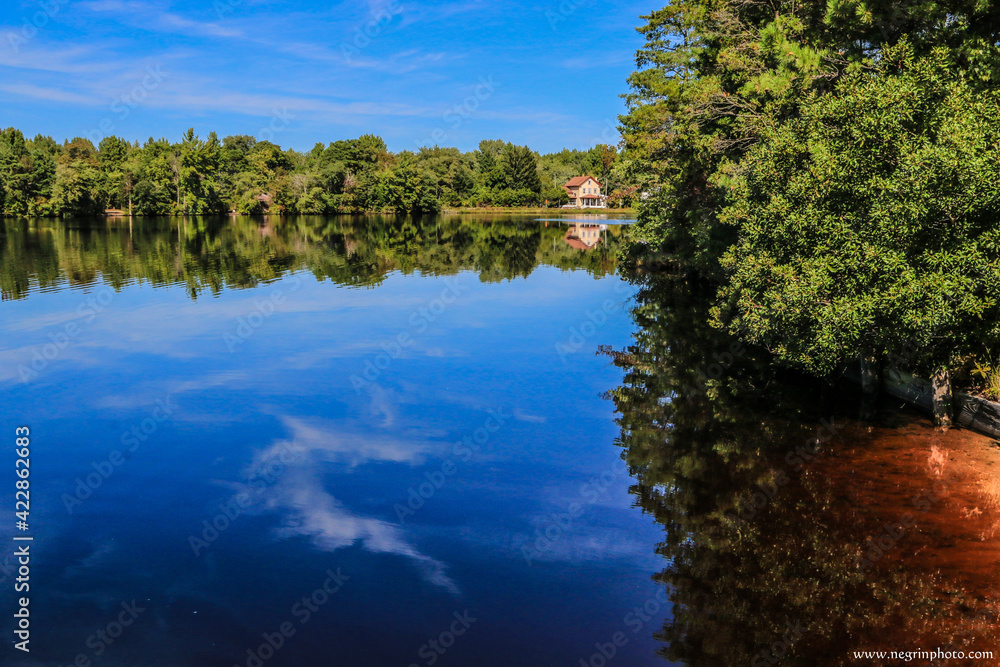 lake and trees,water, river, lake, nature, sky, landscape, reflection, summer, tree, blue, green, forest, trees, park, pond, tranquil, clouds, scene, cloud, outdoors, grass, scenery, view, stream, rur lake and trees,water, river, lake, nature, sky, landscape, reflection, summer, tree, blue, green, forest, trees, park, pond, tranquil, clouds, scene, cloud, outdoors, grass, scenery, view, stream, rur